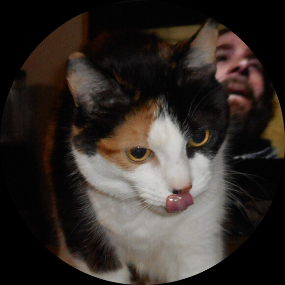 cheezstix